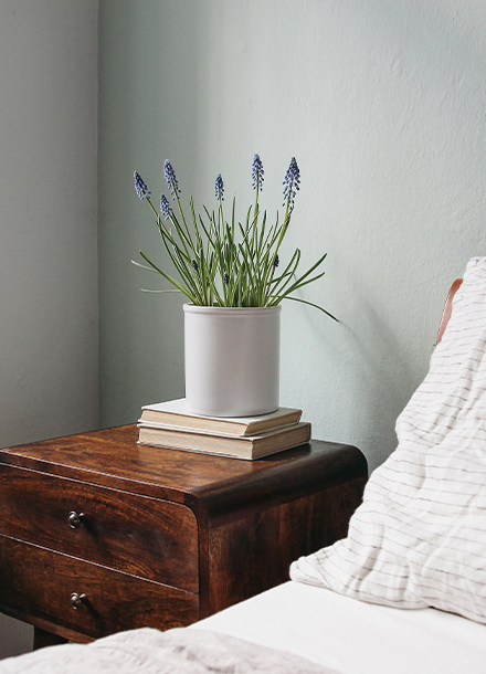 hvhc-shalom-gardens-studio-bay-window-image