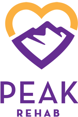 Logo of Peak, featuring a stylized mountain design in purple with an orange sun element, representing adventure and outdoor activities.