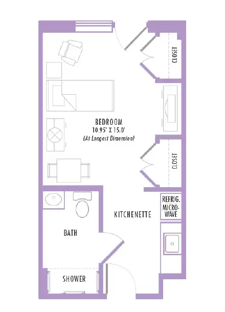 Floor plan of a compact studio apartment featuring a bedroom measuring 10.95' x 15', kitchenette, bathroom with shower, and two closets, designed for efficient space utilization.