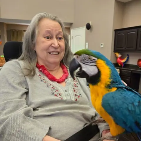 Elderly woman smiling while interacting with a colorful parrot in a cozy indoor setting, showcasing the joy of animal companionship in senior care.